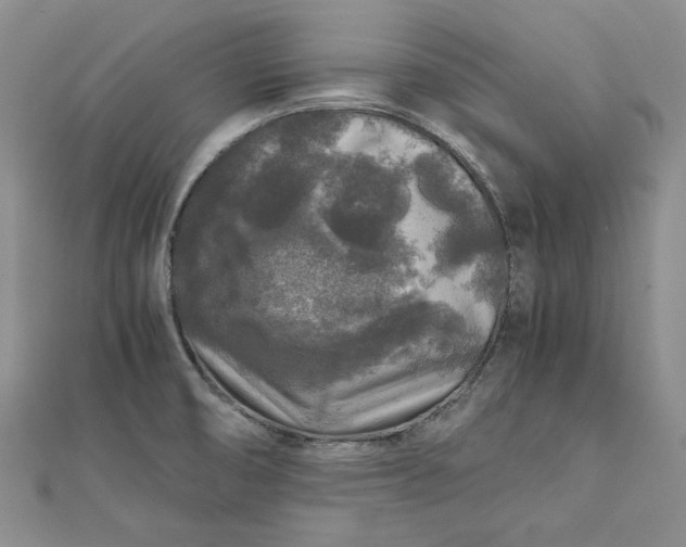 X0000111841474200908061243