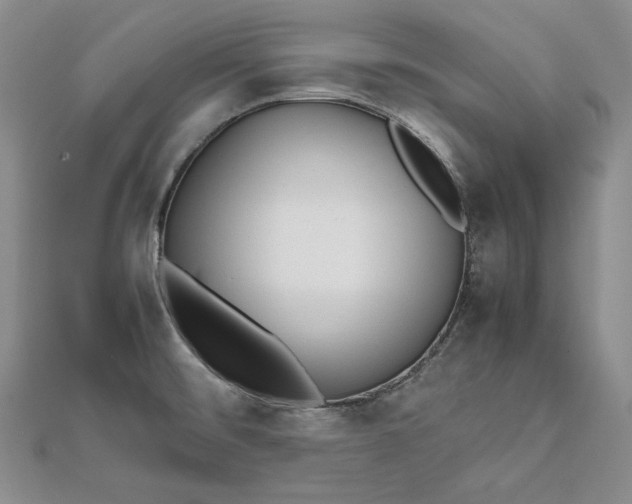 X0000111841476200908061243