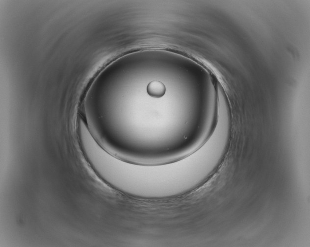 X0000111841477200908061243