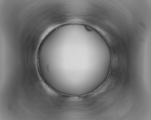 X0000111841478200908061243