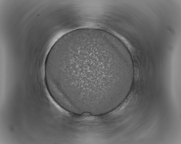 X0000111841479200908061243