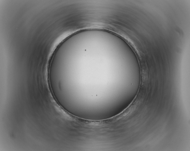 X0000111841480200908061243