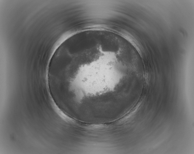 X0000111841482200908061243