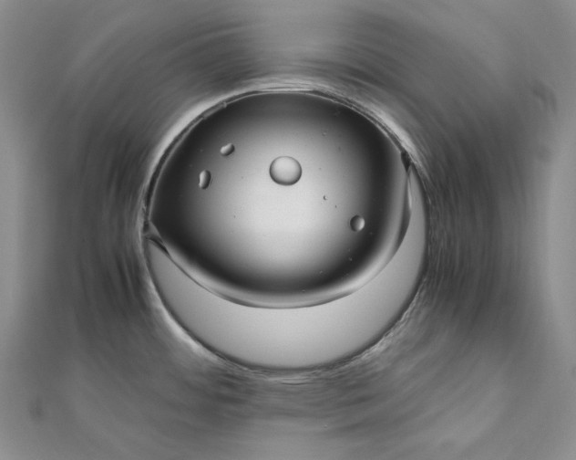 X0000111841484200908061243