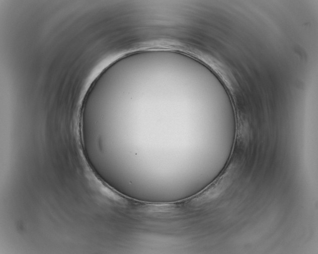 X0000111841486200908061243