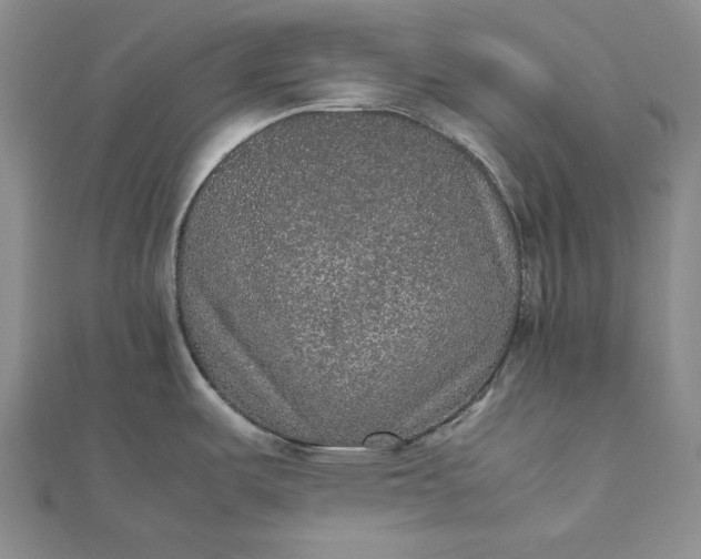 X0000111841487200908061243