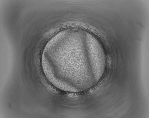 X0000111841489200908061242