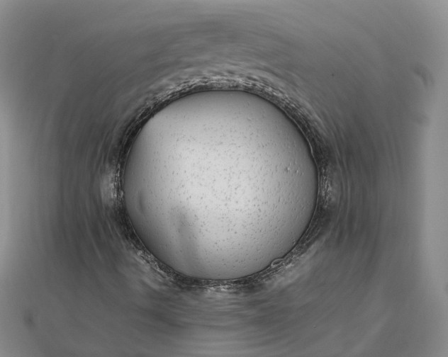 X0000111841490200908061242