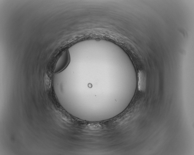 X0000111841491200908061242