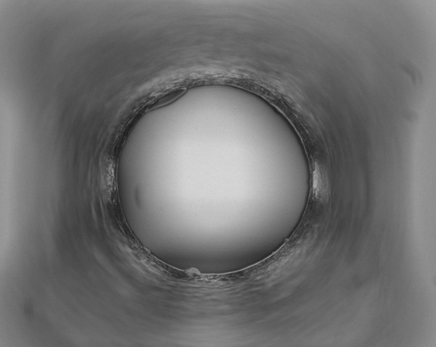 X0000111841492200908061242