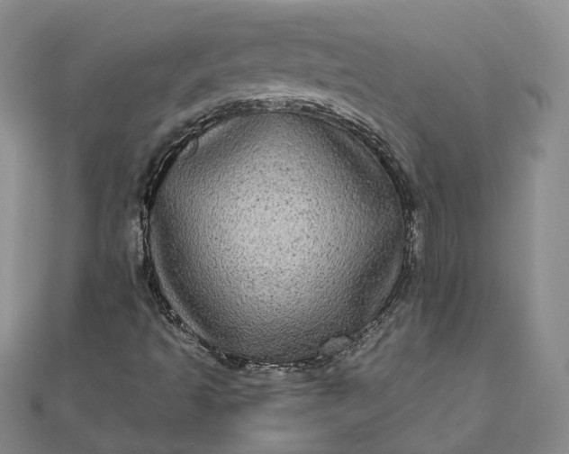 X0000111841493200908061242