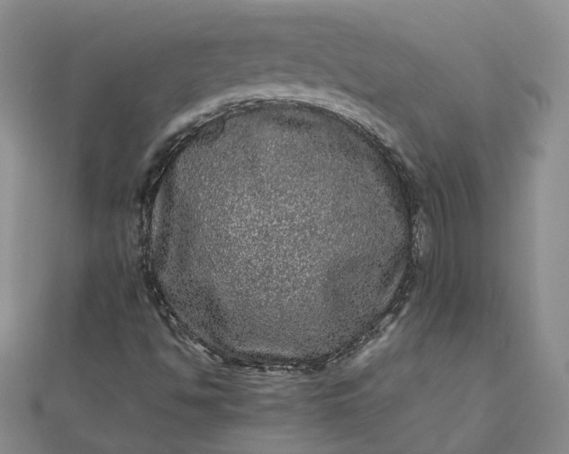 X0000111841494200908061242