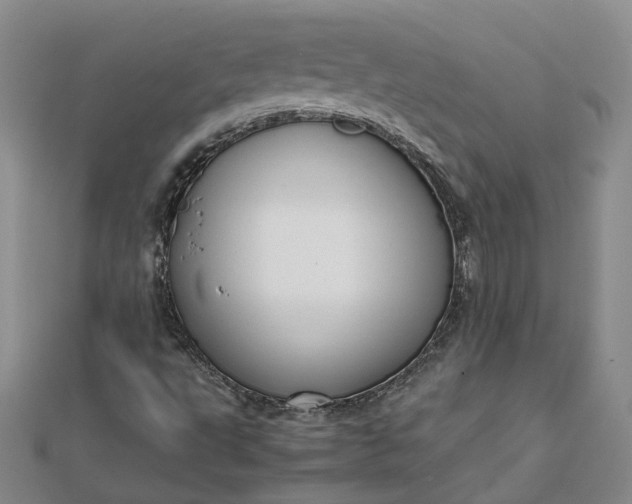 X0000111841495200908061242