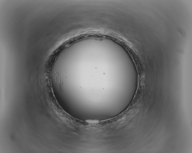 X0000111841496200908061242