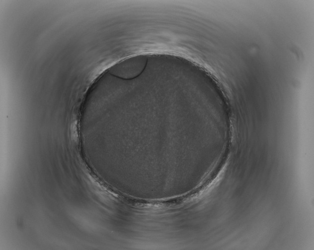 X0000111841497200908061242