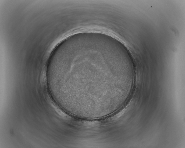 X0000111841498200908061242