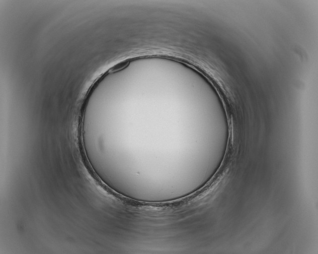 X0000111841500200908061242