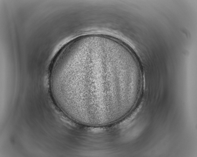 X0000111841501200908061242