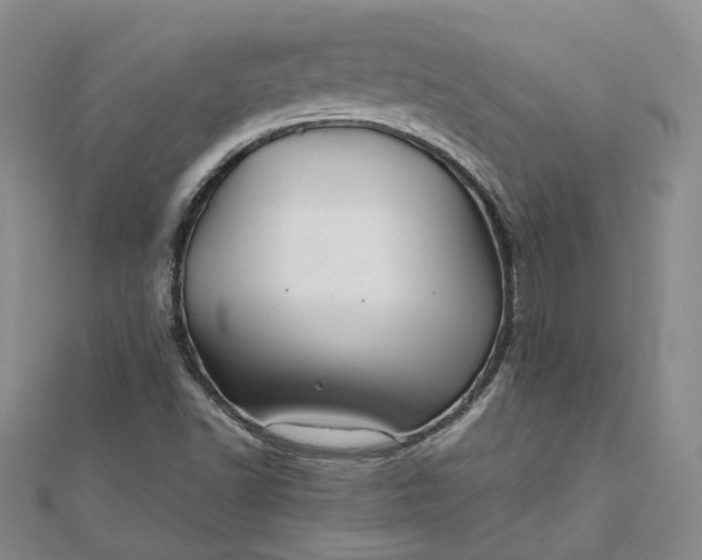 X0000111841502200908061242