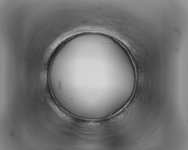 X0000111841503200908061242