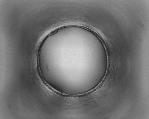 X0000111841504200908061242