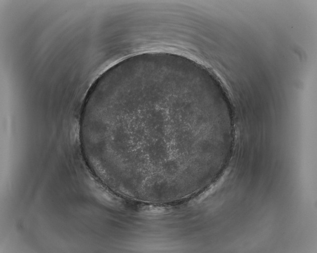 X0000111841505200908061242