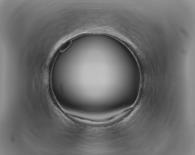 X0000111841506200908061242