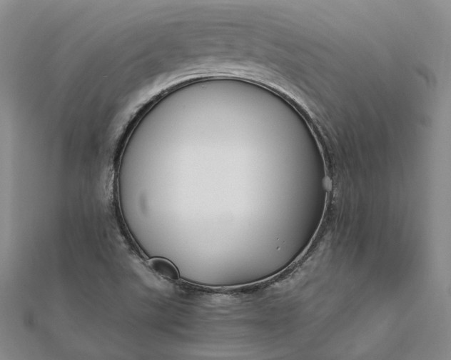 X0000111841507200908061242