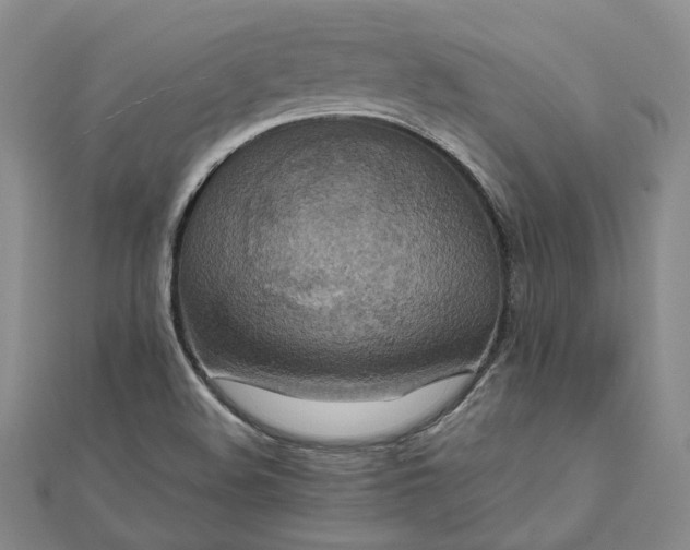 X0000111841508200908061242