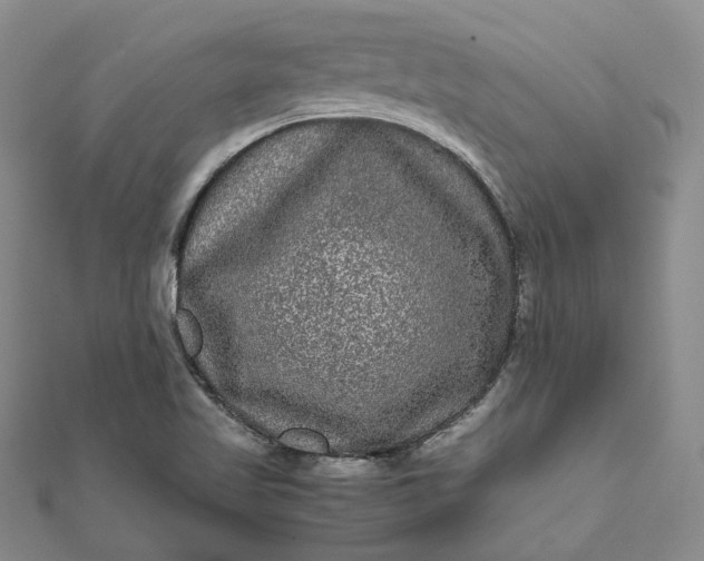 X0000111841509200908061242