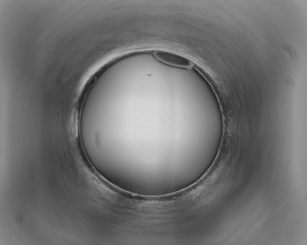 X0000111841510200908061242