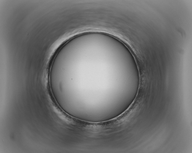 X0000111841511200908061242