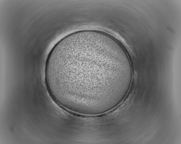 X0000111841512200908061242