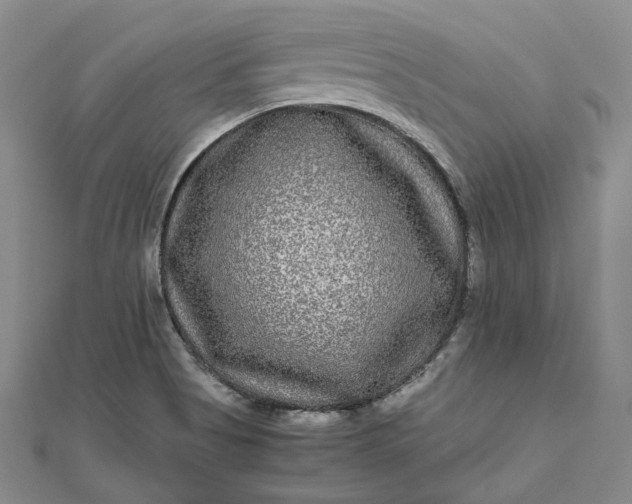 X0000111841513200908061243