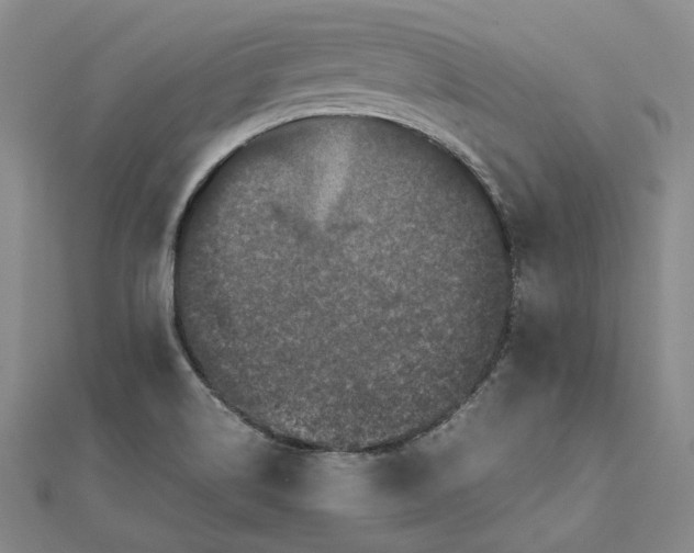 X0000111841514200908061243