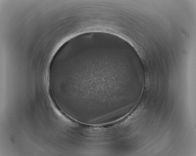 X0000111841515200908061243