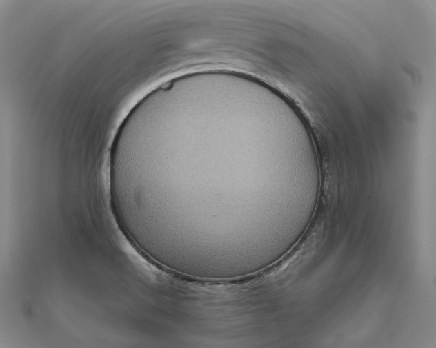 X0000111841516200908061243