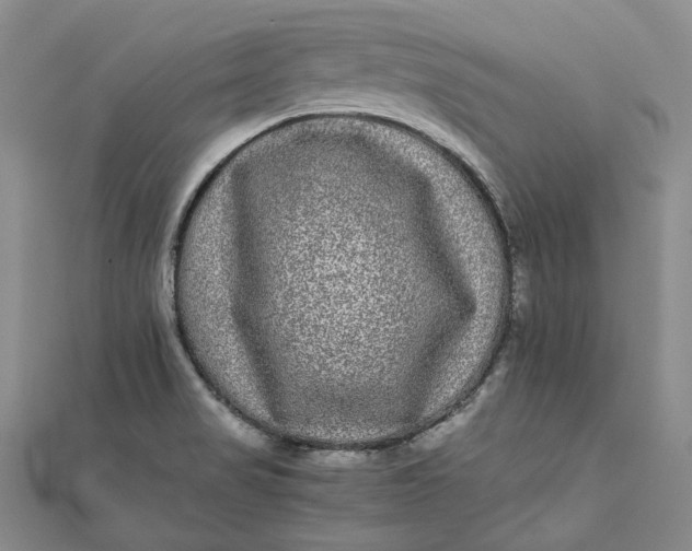 X0000111841517200908061243