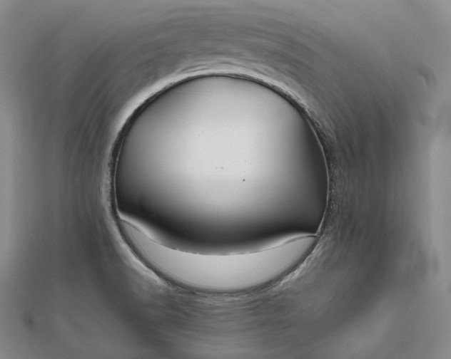 X0000111841518200908061243