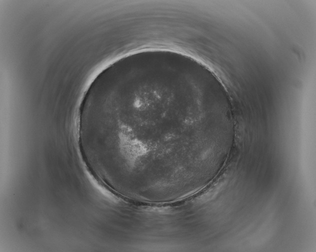 X0000111841519200908061243