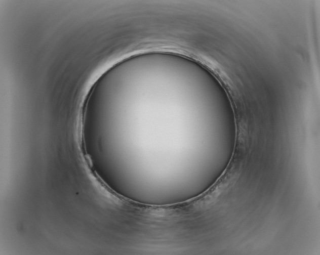 X0000111841520200908061243