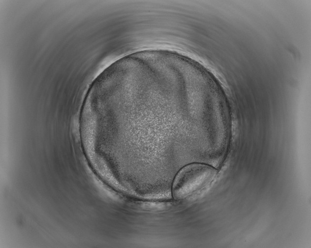 X0000111841521200908061243