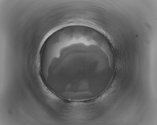 X0000111841522200908061243