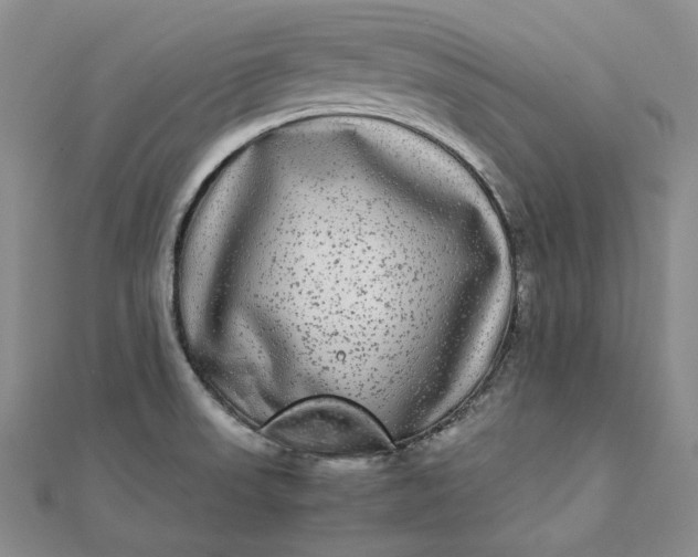 X0000111841523200908061243