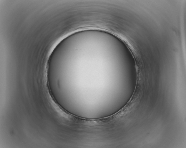 X0000111841524200908061243