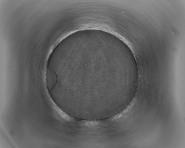 X0000111841525200908061243