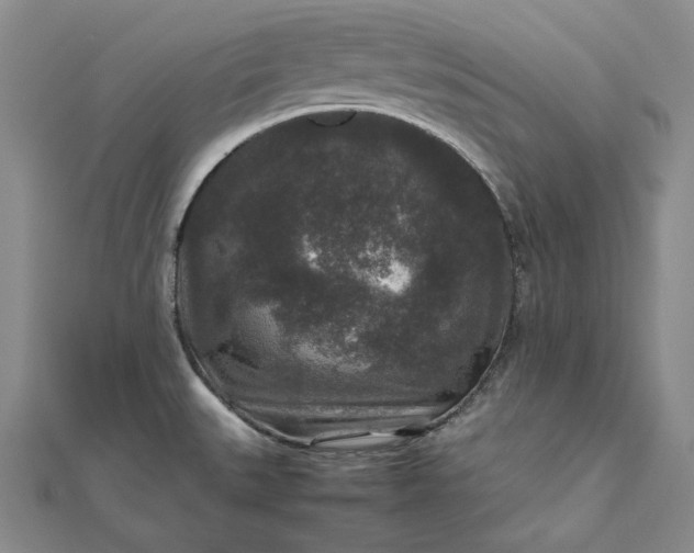 X0000111841527200908061243