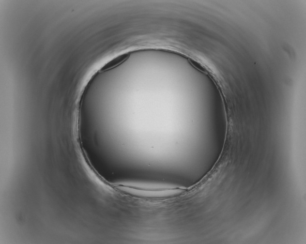 X0000111841528200908061243