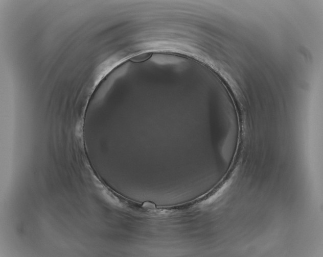 X0000111841529200908061243