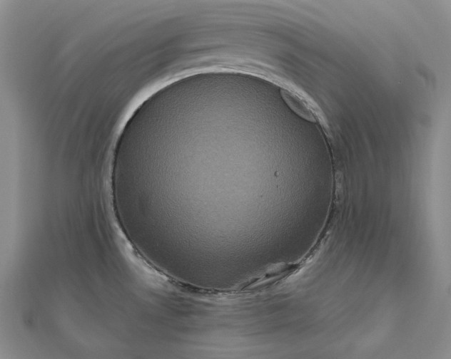 X0000111841530200908061243